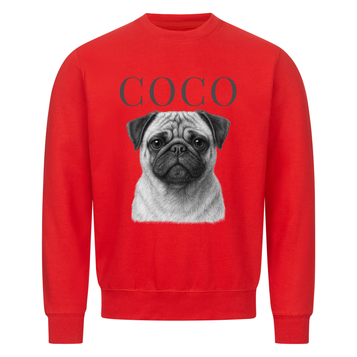 Hunde Retro - Personalisierter Sweater